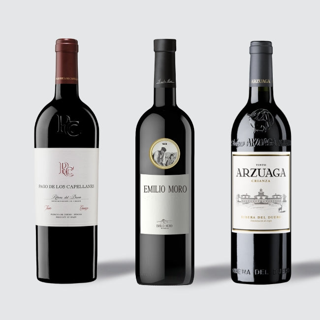 Ribera del Duero Crianza Essentials